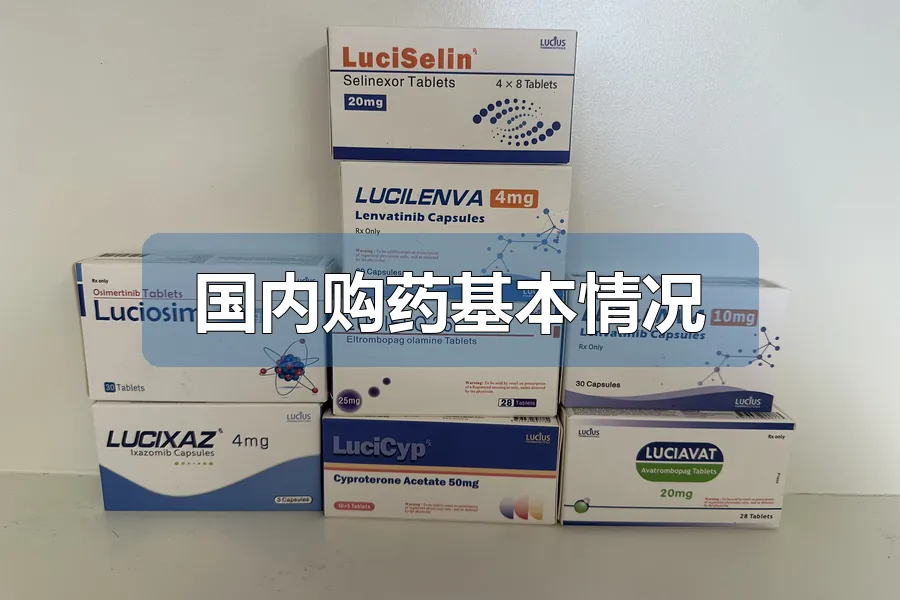 国内购药基本情况